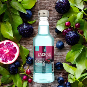 Cacique Frutos del Bosque
